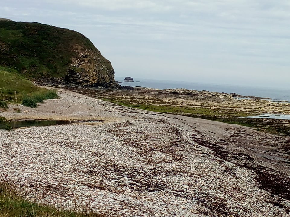 New Aberdour Beach, with hill and rocks