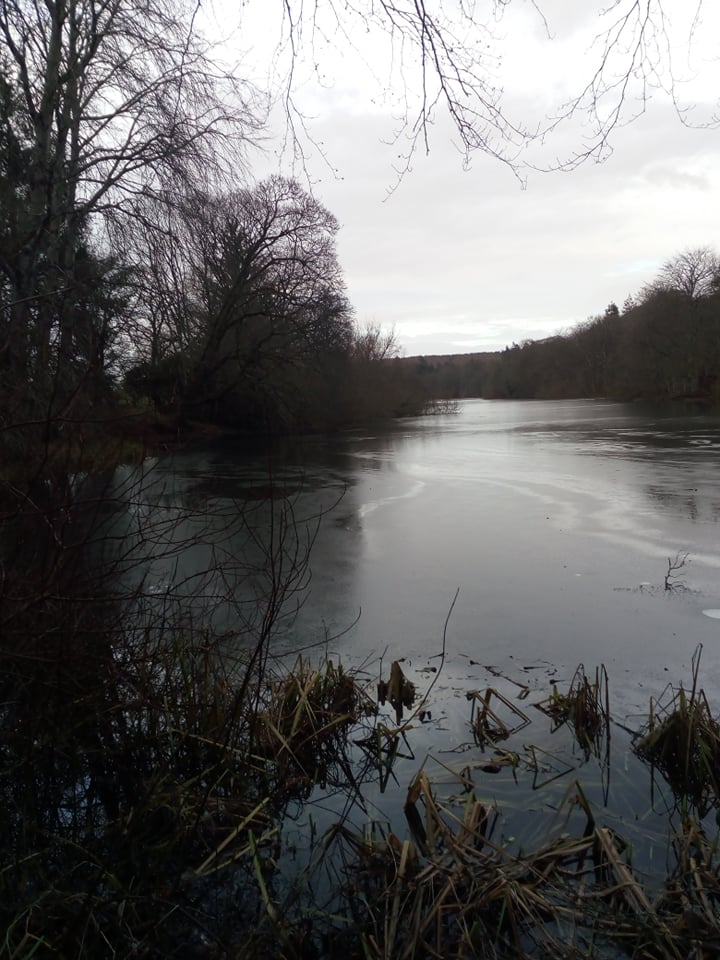 Fyvie Castle lake, surrounded by trees and with patches of frozen ice