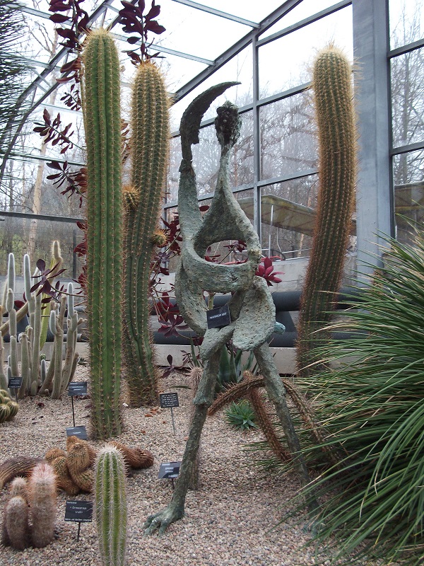 Different styles of cacti and a sculpture of a warrior ant