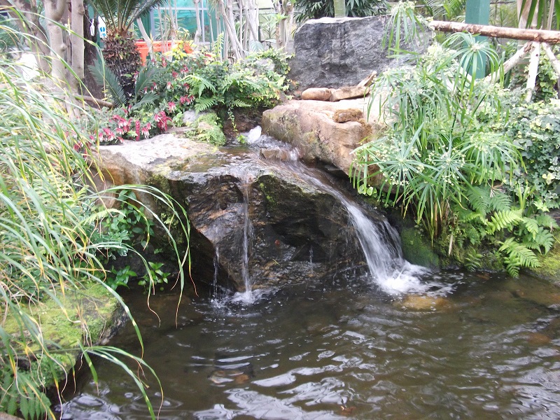 A water feature in Duthie Park Winter Gardens