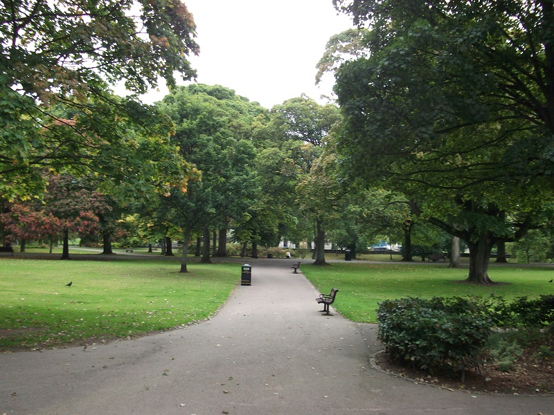 a path through the park surrounded by trees