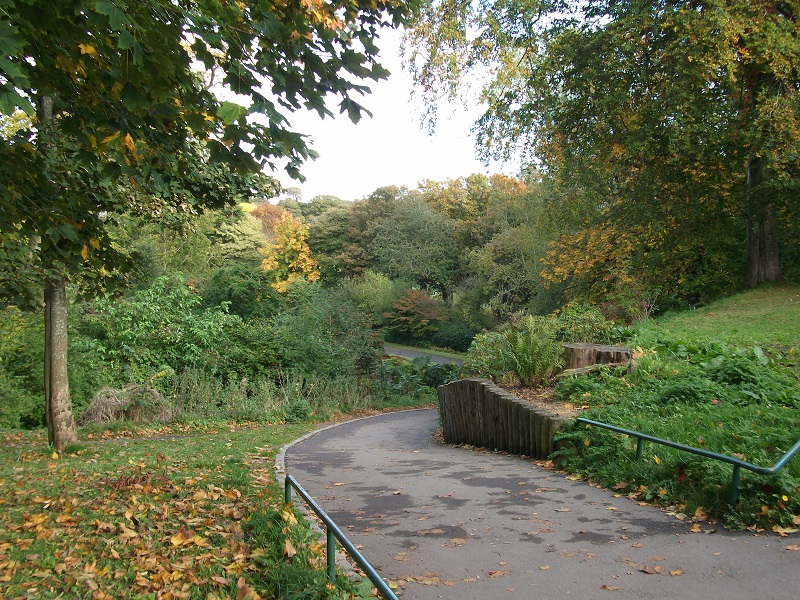 view of Seaton Park from upper entrance, featuring trees with autumn leaves