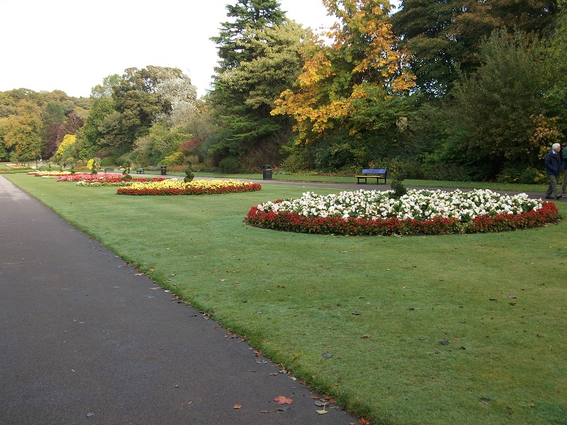 flowerbeds in different colours, in the middle of two paths and bordered by trees
