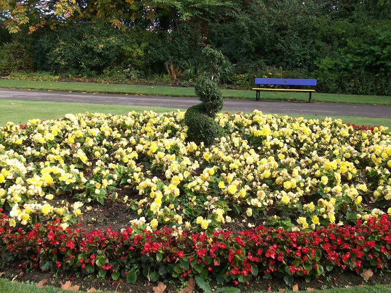 yellow and red flowerbed