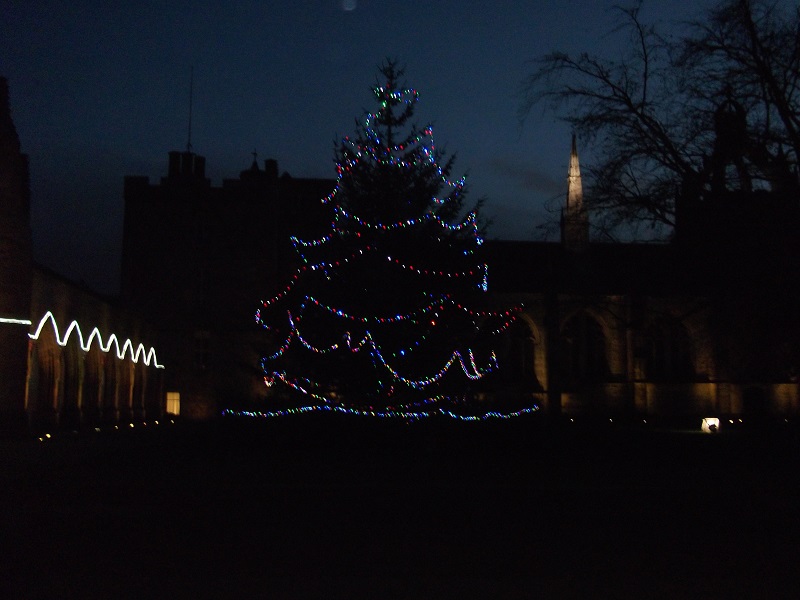 A tall Christmas tree lit up by lights in front of Kings College