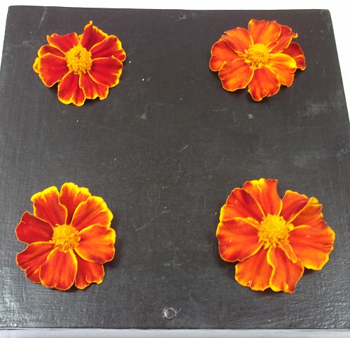 orange flowers