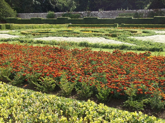 red and yellow flowers surrounded by box hedge
