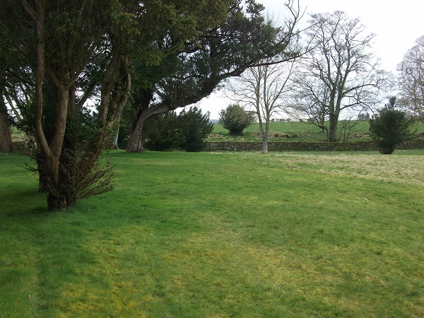 trees and a grassy lawn