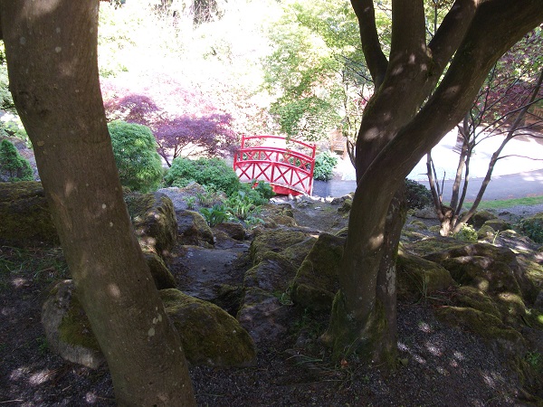A tiny red bridge seen between two tree trunks