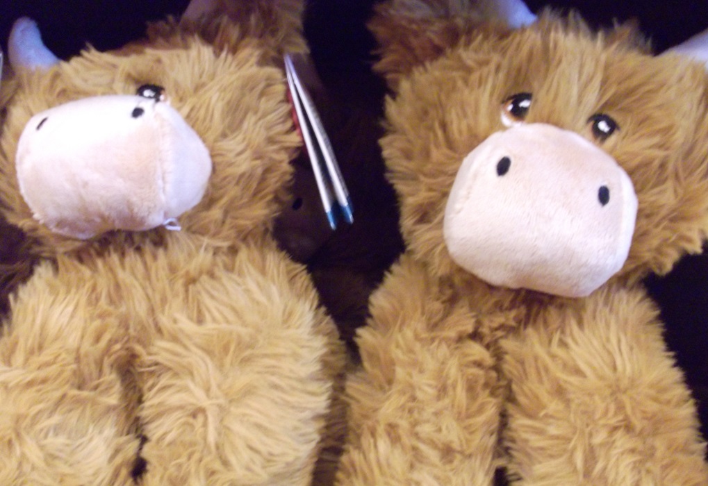 Two brown and white highland cow soft toys