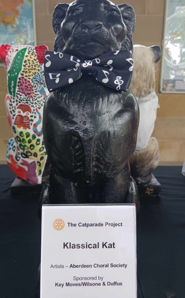 a black cat wearing tie with musical notes on it