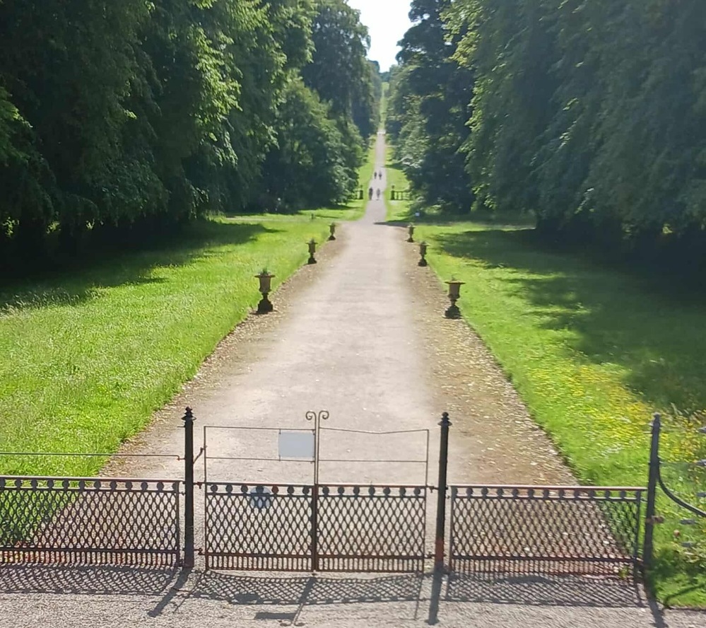 A gravel avenue between towering trees and culminating in a hill