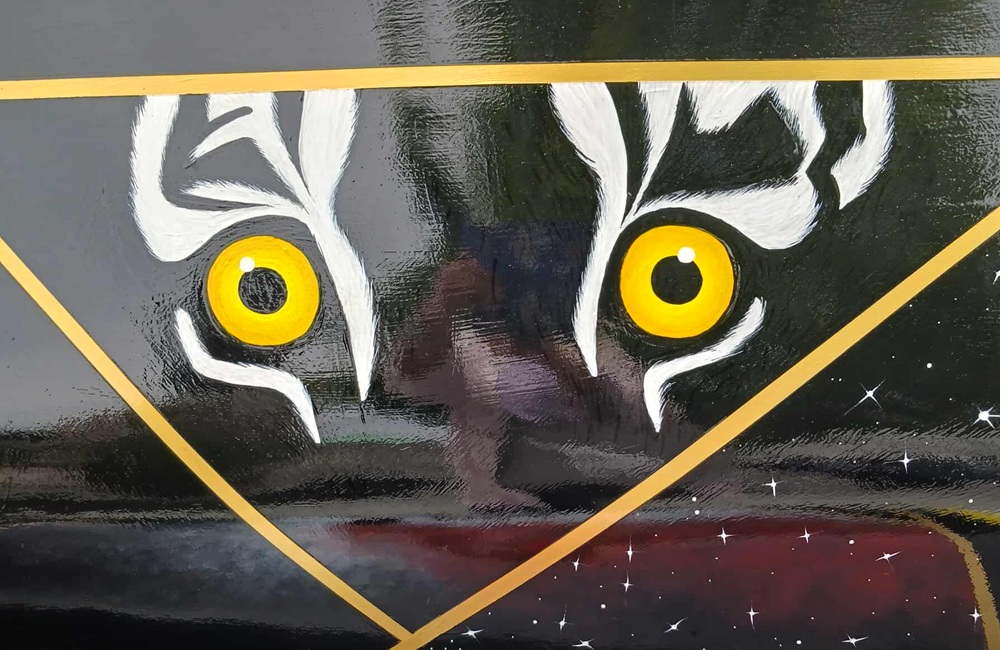 a painting of the amber eyes of a black cat with white stripes around the eyes