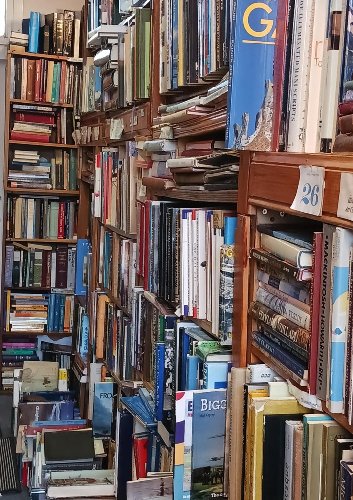 shelves of books